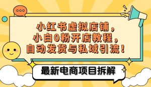 小红书电商，小白虚拟类目店铺教程，被动收益+私域引流-网创资源