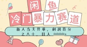 闲鱼冷门暴力赛道，新人当天开单，门槛低，日入多张-网创资源