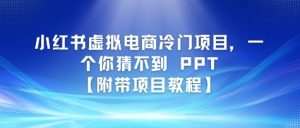 小红书虚拟电商冷门项目，一个你猜不到 PPT【附带项目教程】-网创资源