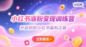 小红书涨粉变现训练营，开启你的小红书盈利之路-网创资源