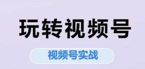 玩转视频号，视频号实战系列课-网创资源