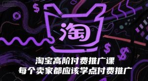 淘宝高阶付费推广课，每个卖家都应该学点付费推广-网创资源