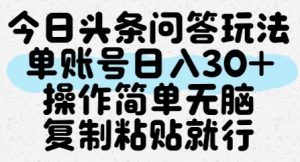 今日头条问答玩法，单账号日入30+，操作简单无脑复制粘贴就行[db:副标题]-网创资源