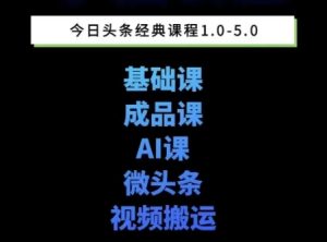 头条图文课1-5期教你头条图文写作、微头条、视频搬运变现，适合新手快速起号玩法-网创资源