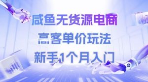 咸鱼无货源电商，高客单价玩法，新手1个月入门-网创资源