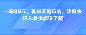 一单88元，私域无脑玩法，见效快，日入多少你说了算-网创资源