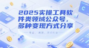 2025实操工具软件类领域公众号，多种变现方式分享-网创资源