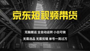 京东短视频达人带货，无脑搬运，无需选品，矩阵操作，单号一周过万-网创资源