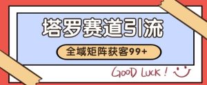小红书某音塔罗赛道引流获客 自热矩阵日引200+【揭秘】-网创资源