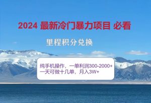 2024惊爆冷门暴利，里程积分最新玩法，高爆发期，一单300+—2000+-网创资源