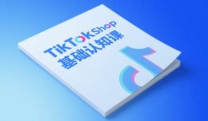 TikTok小店基础认知课，助力学员从 0 到 1 掌握 TikTok 电商运营全链路认知-网创资源