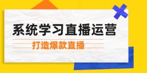 系统学习直播运营：掌握起号方法、主播能力、小店随心推，打造爆款直播-网创资源