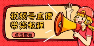 视频号直播带货教程：选品思路与话术拆解/掌握多种带货套路/提升直播效果-网创资源