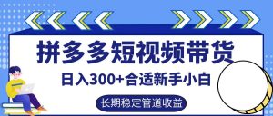 拼多多短视频带货日入300+，实操账户展示看就能学会-网创资源