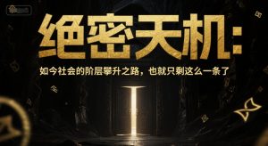付费文章：绝密天机：如今社会的阶层攀升之路，也就只剩这么一条了-网创资源
