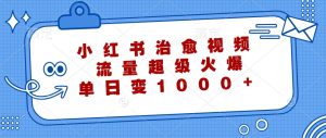 小红书治愈视频，流量超级火爆，单日变现1000+-网创资源