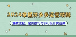 2024掌握拼多多运营精髓：爆款流程、定价技巧与SKU设计实战课-网创资源