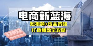 商家必看电商新蓝海：短视频+选品策略，打造爆款全攻略，月入10w+-网创资源