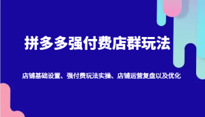 拼多多强付费店群玩法：店铺基础设置、强付费玩法实操、店铺运营复盘以及优化-网创资源