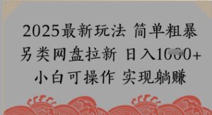 网盘拉新，冷门玩法，纯捡钱月入8k，0基础小白也能做-网创资源