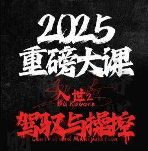 2025重磅大课，入世2，驾驭与控制-网创资源