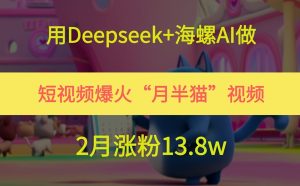 用Deepseek+海螺AI做短视频爆火“月半猫”视频，2月涨粉13.8w-网创资源