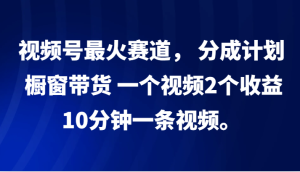 视频号最火赛道， 分成计划， 橱窗带货，一个视频2个收益，10分钟一条视频。-网创资源