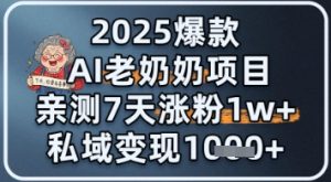 2025爆款 AI 老奶奶项目：亲测 7 天涨粉 1W+，私域变现 1k+-网创资源