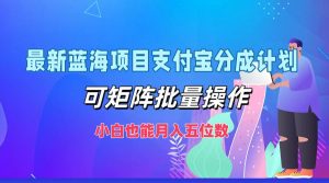 最新蓝海项目支付宝分成计划，可矩阵批量操作，小白也能月入五位数-网创资源