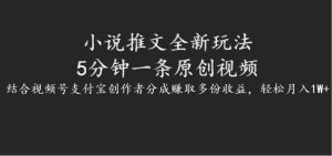 小说推文全新玩法，5分钟一条原创视频，结合视频号支付宝创作者分成赚取多份收益-网创资源