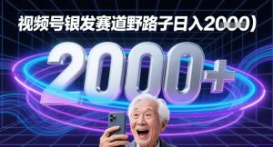 蝴蝶号银发赛道流量密码野路子日入多张-网创资源