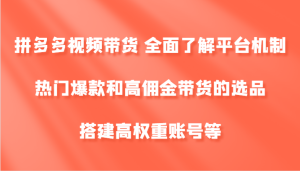 拼多多视频带货 全面了解平台机制、热门爆款和高佣金带货的选品，搭建高权重账号等-网创资源