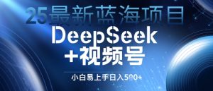 25最新蓝海项目DeepSeek+视频号，小白易上手日入几张-网创资源