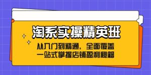 淘系实操精英班：从入门到精通，全面覆盖，一站式掌握店铺盈利秘籍-网创资源