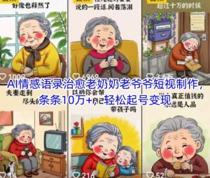 AI情感语录治愈老奶奶老爷爷短视制作，条条10万+，轻松起号变现-网创资源
