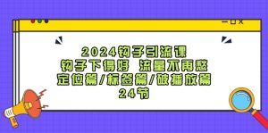 2024钩子引流课：钩子下得好流量不再愁，定位篇/标签篇/破播放篇/24节-网创资源
