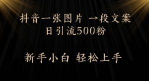 每天2分钟，抖音一张图片 一段文案日引流500粉-网创资源