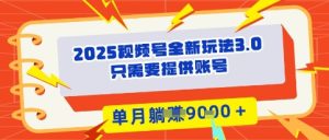2025年视频号全新玩法3.0，操作爆款门槛低， 团队赋能，单月入9k-网创资源