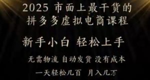 25年最干货的拼多多虚拟电商课程，小白轻松上手，月入过w只是门槛!虚拟电商，如皓月见青天-网创资源