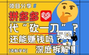 【2025最新】拼多多代坎助力项目深度拆解：还能挣钱吗?全流程玩法-网创资源