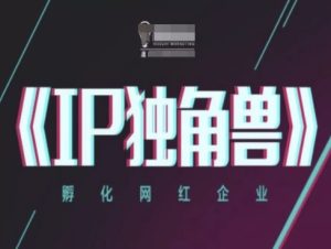 IP独角兽，孵化网红企业，ip教程-网创资源