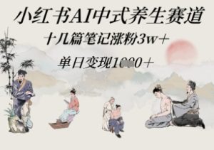 小红书AI中式养生赛道，十几篇笔记涨粉3w+，单日变现多张-网创资源