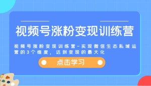 视频号涨粉变现训练营-实现微信生态私域运营的3个维度，达到变现的最大化-网创资源