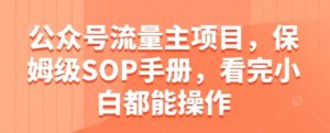 公众号流量主项目，保姆级SOP手册，看完小白都能操作-网创资源