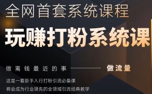 2025行业首套全网全域打粉系统神课，做流量做离钱最近的事，一套新手入行打粉引流必备课-网创资源