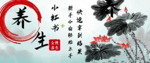 疯狂火爆，用Deepseek小红书平台的女性古声古韵养生爆款，小白轻松制作，快速拿到结果-网创资源