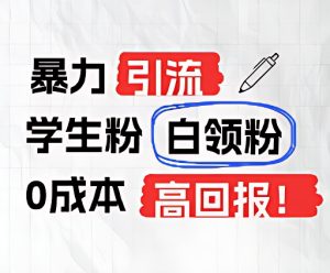 暴力行为引流方法学生们粉上班族粉，完爆过去废弃物游戏玩法，0成本费，高收益-网创资源