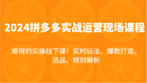 2024拼多多平台实战演练经营当场课，即时游戏玩法，爆款打造，选款、标准分析，不可多得的实际操作面授课！-网创资源