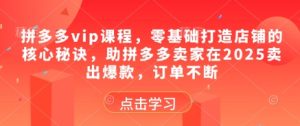 拼多多vip课程，零基础打造店铺的核心秘诀，助拼多多卖家在2025卖出爆款，订单不断-网创资源