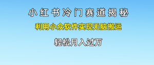 小红书的小众跑道揭密,运用小众软件完成没脑子运送，轻轻松松月入了万-网创资源